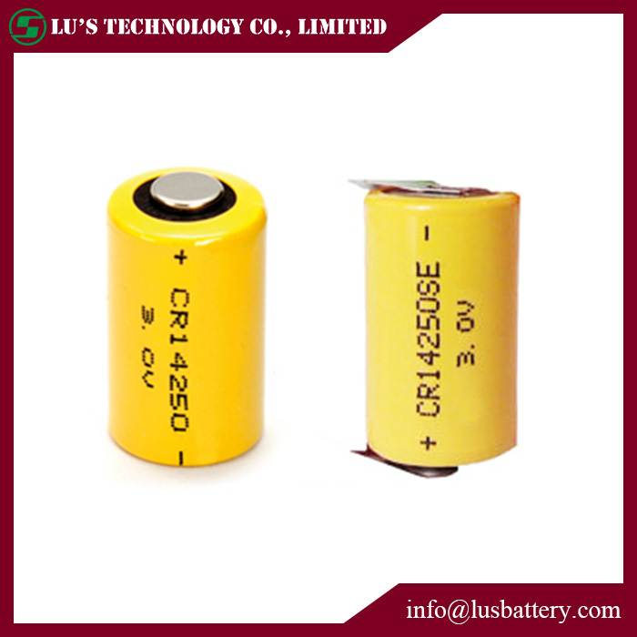 Lithium Maganese Dioxide Battery